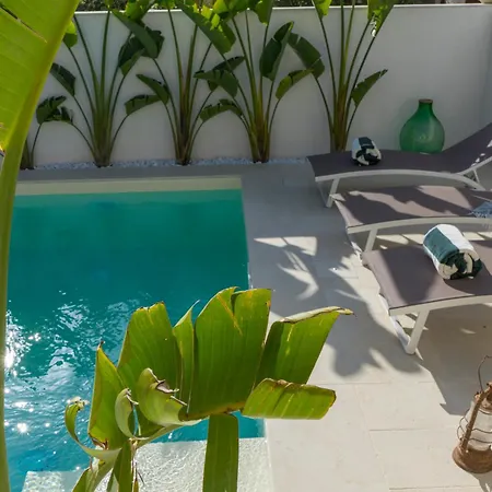 Delle Palme Con Piscina Privata Semesterbostad