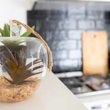 Semesterbostad Delle Palme Con Piscina Privata Santa Maria Del Focallo