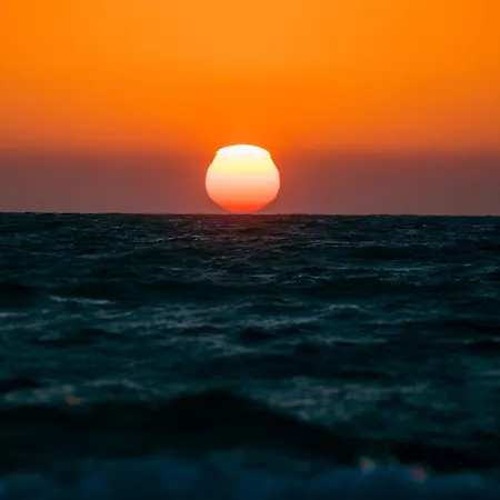 Semesterbostad Delle Palme Con Piscina Privata